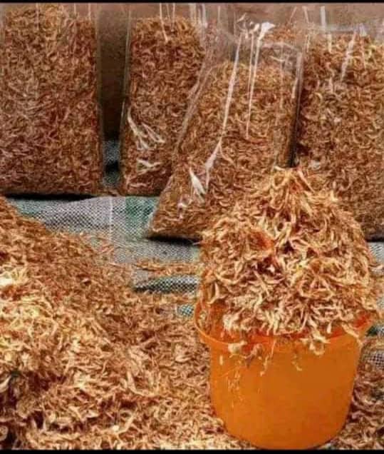 Clean Oron Crayfish